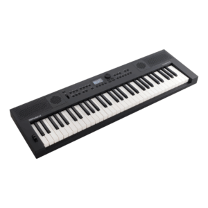 ローランド Roland GOKEYS5-GT [電子キーボード 61鍵盤 グラファイト]