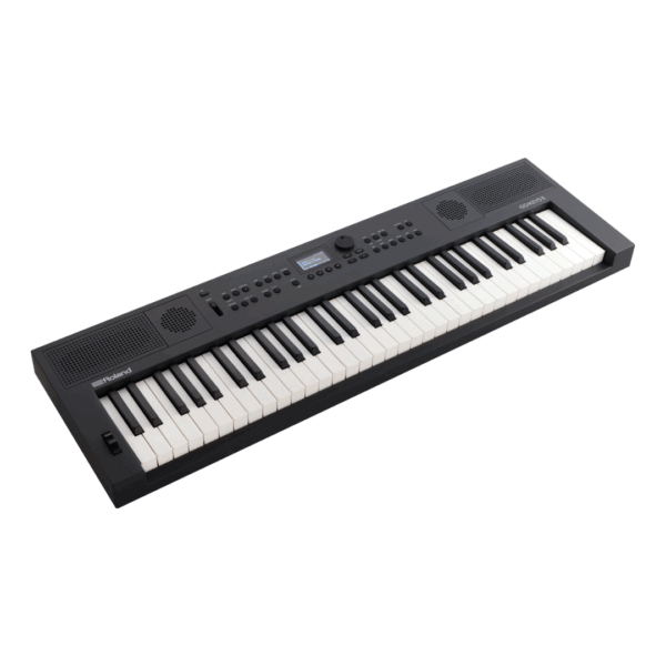 ローランド Roland GOKEYS5-GT [電子キーボード 61鍵盤 グラファイト]