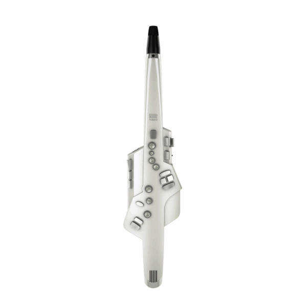 【中古】ローランド Roland AE-10 [デジタル管楽器 Aerophone エアロフォン]