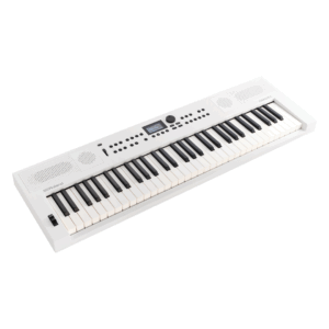 ローランド Roland GOKEYS5-WH [電子キーボード 61鍵盤 ホワイト]